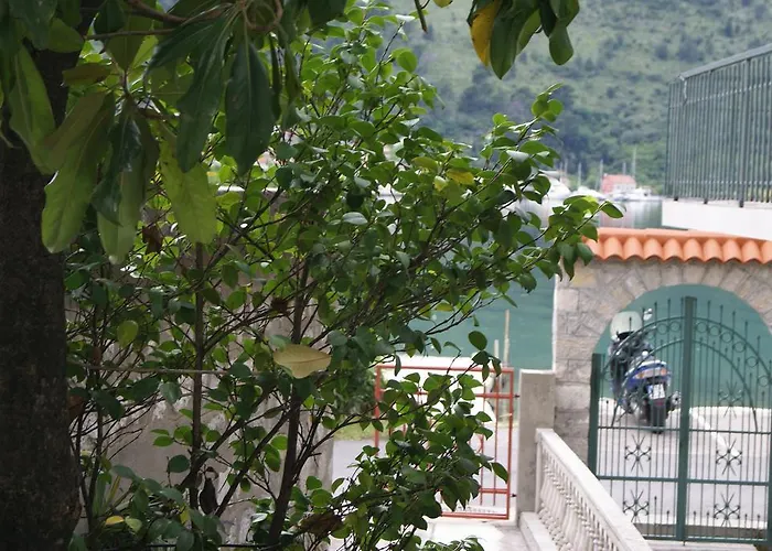 约瓦诺维奇公寓